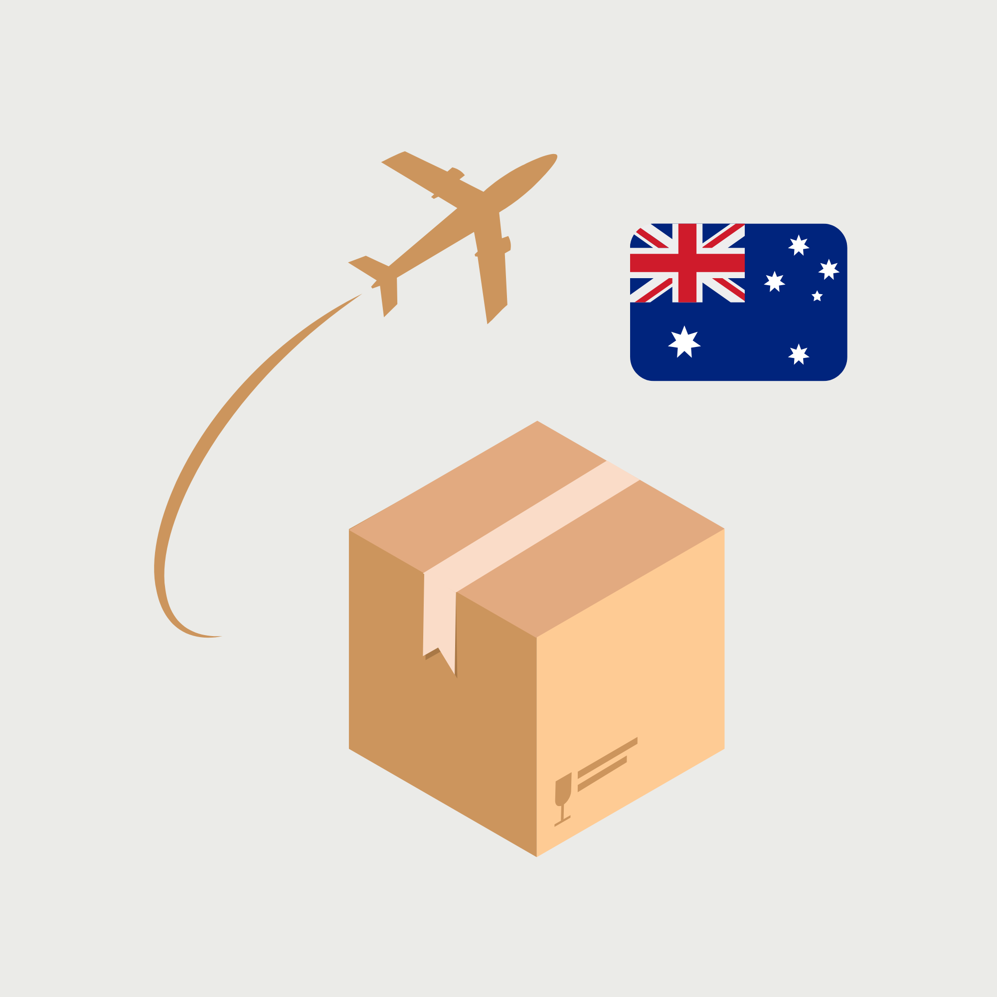 海外配送專用箱子 － 澳洲