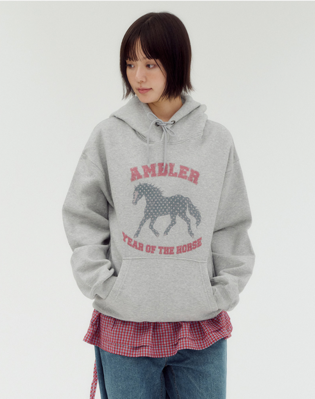 AMBLER 預訂｜Vintage Horse 復古馬連帽衛衣 (AHP1313)