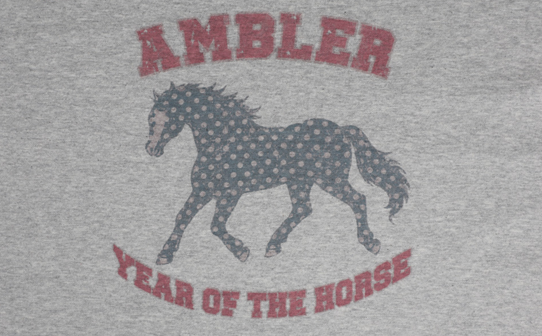 AMBLER 預訂｜Vintage Horse 復古馬連帽衛衣 (AHP1313)